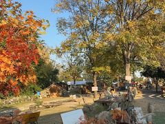 -HERRE·FARM 赫尔露营农场·团建聚会包场