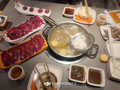 -潮发潮汕牛肉店(长隆店)