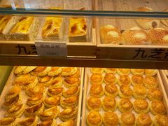 -九芝斋(解放路店)