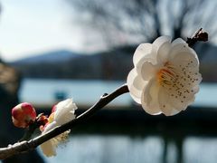 -石湖景区
