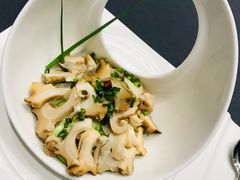 黄瓜伴鲍鱼-鲁采LU STYLE(新天地店)