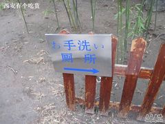 -西安青龙寺遗址景区