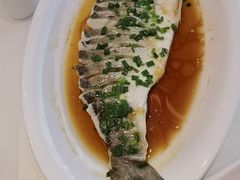-沪华海鲜大酒楼(南汇店)