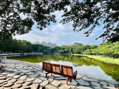 -东莞植物园