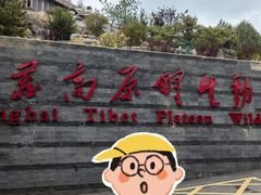 -青藏高原野生动物园