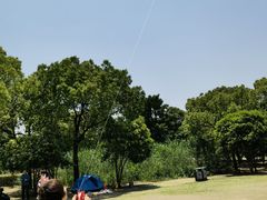 -梁鸿国家湿地公园