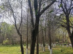 -长广溪湿地公园