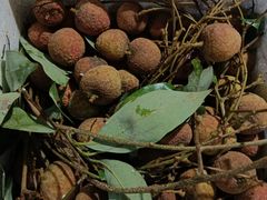 -鸡打鸣熏鸡系列(总店)