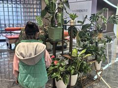 -Sips&Lick茶兰咖啡(五道口店)
