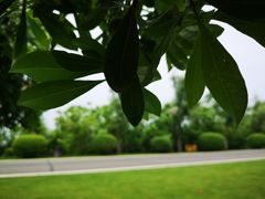 -艾溪湖湿地公园