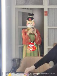 -玛瑞莎·儿童·亲子摄影(越秀店)