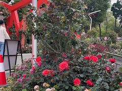 -人民公园(罗湖区)