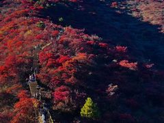 -北京西山国家森林公园
