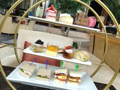 -新都绿城喜来登酒店大堂吧