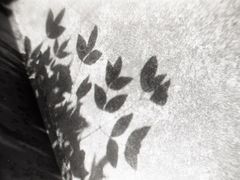 当年暗房俱乐部(上海店)-当年暗房俱乐部(上海店)