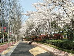 -砂之船奥莱(南京江宁店)