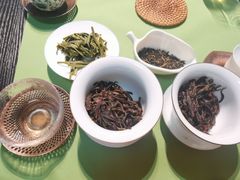 -诗宇时光茶艺书法古琴培训