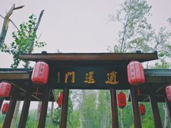 -合肥滨湖国家森林公园