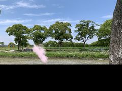 -上海都市菜园