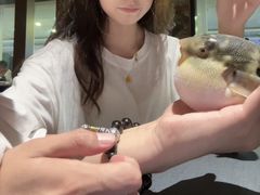 -肆月河豚·淮扬菜·湘菜(华天店)