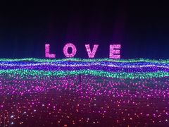 -杭州湾海上花田景区