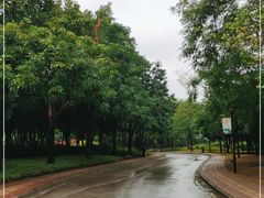 -雀儿山公园