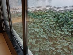 -箸福·夜上海(月牙湖公园店)