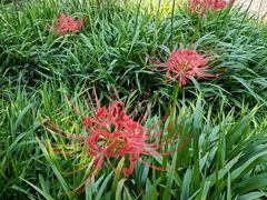 -玄武湖景区-情侣园游乐场