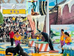 -海合安成都极地海洋公园