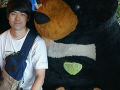 -济州岛泰迪熊博物馆