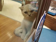 -龟与熊猫宠物公园(南坪店)