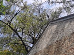 -南山风景名胜区