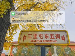 -三里屯东五街银杏大道