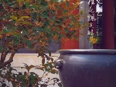 -颐和园
