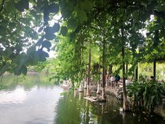 -东莞市可园博物馆