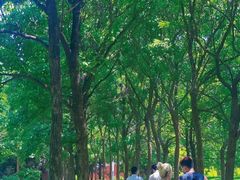 -奥帕拉拉水公园