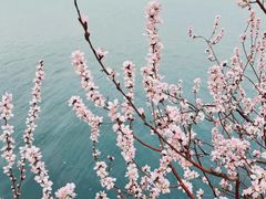 -颐和园