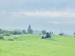 -良渚古城遗址公园