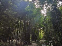 -望江楼公园