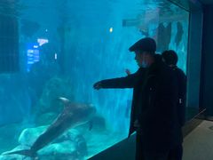 -福州罗源湾海洋世界旅游区