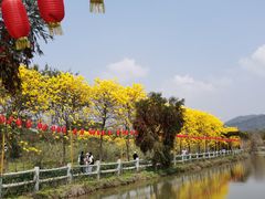 -天适樱花悠乐园