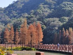 -广州市石门国家森林公园