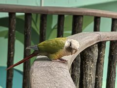 -正佳雨林生态植物园