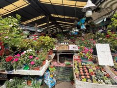 -曲阳花鸟市场(曲阳路店)