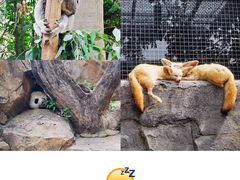 -广州长隆野生动物世界