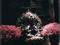 -花马天堂云南餐厅 Lost Heaven(高邮路店)