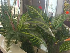 -纪林菜馆·博山菜老字号(华光路店)
