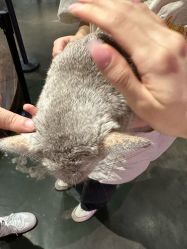 -Zoolung Zoolung动物主题公园(海信广场店)