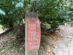 -都江堰中华大熊猫苑
