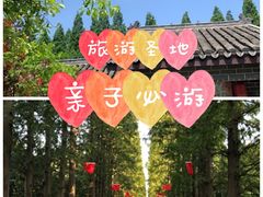 -金岛生态园烧烤露营地